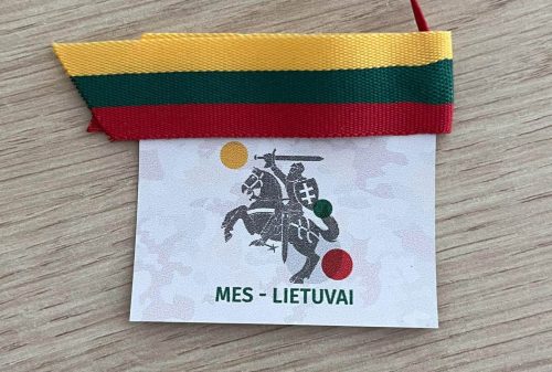 Prasideda vasaros stovykla Mes – Lietuvai!